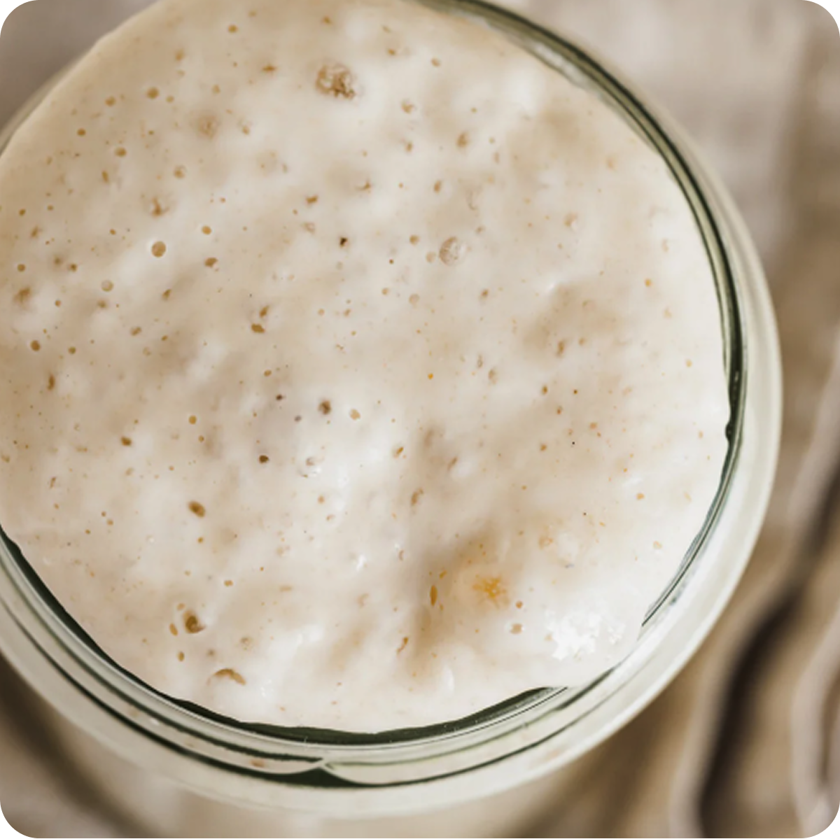 A Taste of Sourdough Cookbook (eBook)