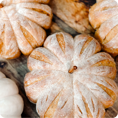 A Taste of Sourdough Cookbook (eBook)